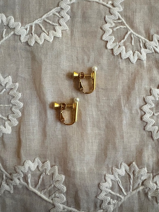 カリーヌパリ オーダーページcpo