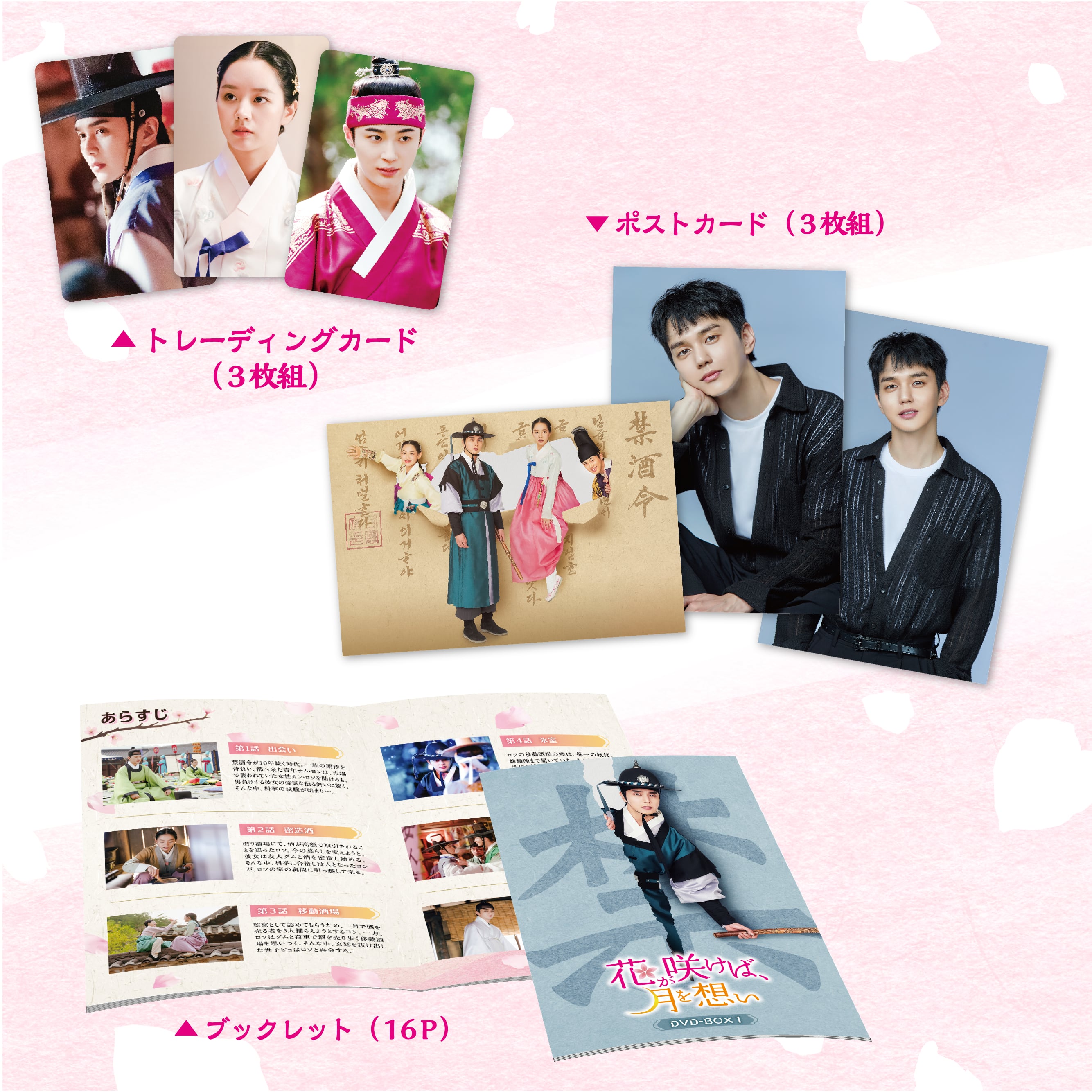 12年ぶりの再会 DVD-BOX2 2zzhgl6 非常に良い】12年ぶりの再会 DVD-BOX2 2zzhgl6 2026年最新】12年