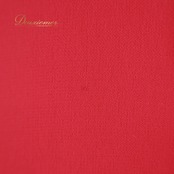 社交ダンス 衣装 スカート レッド系 チャコット Chacott 赤 無地 シンプル レッスン 練習 伸縮 ストレッチ 鮮やか 華やか 上品 かわいい 日本製 ダンス衣装