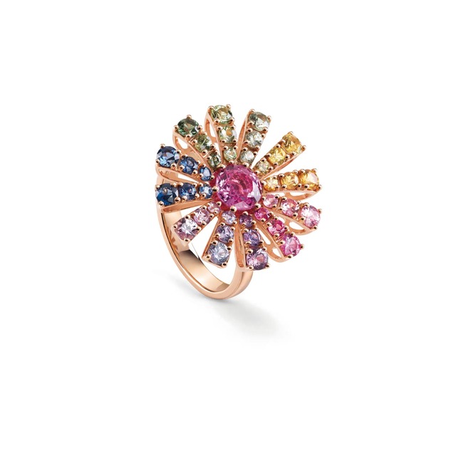 DAMIANI Margherita（20088152）