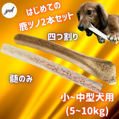 髄のみ＆四つ割り 2本セット　小〜中型犬用　蝦夷鹿のツノ　ワンちゃん用オモチャ　ドッグガム　鹿角　