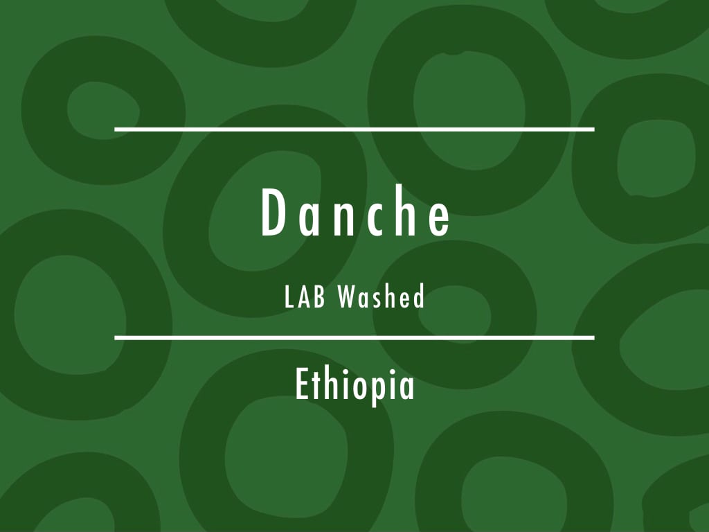 【お得!500g】エチオピア / Danche LAB Washed