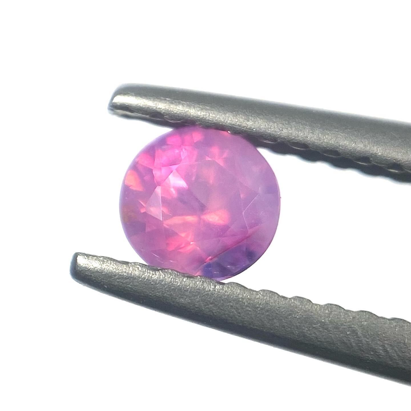 カトレア サファイア