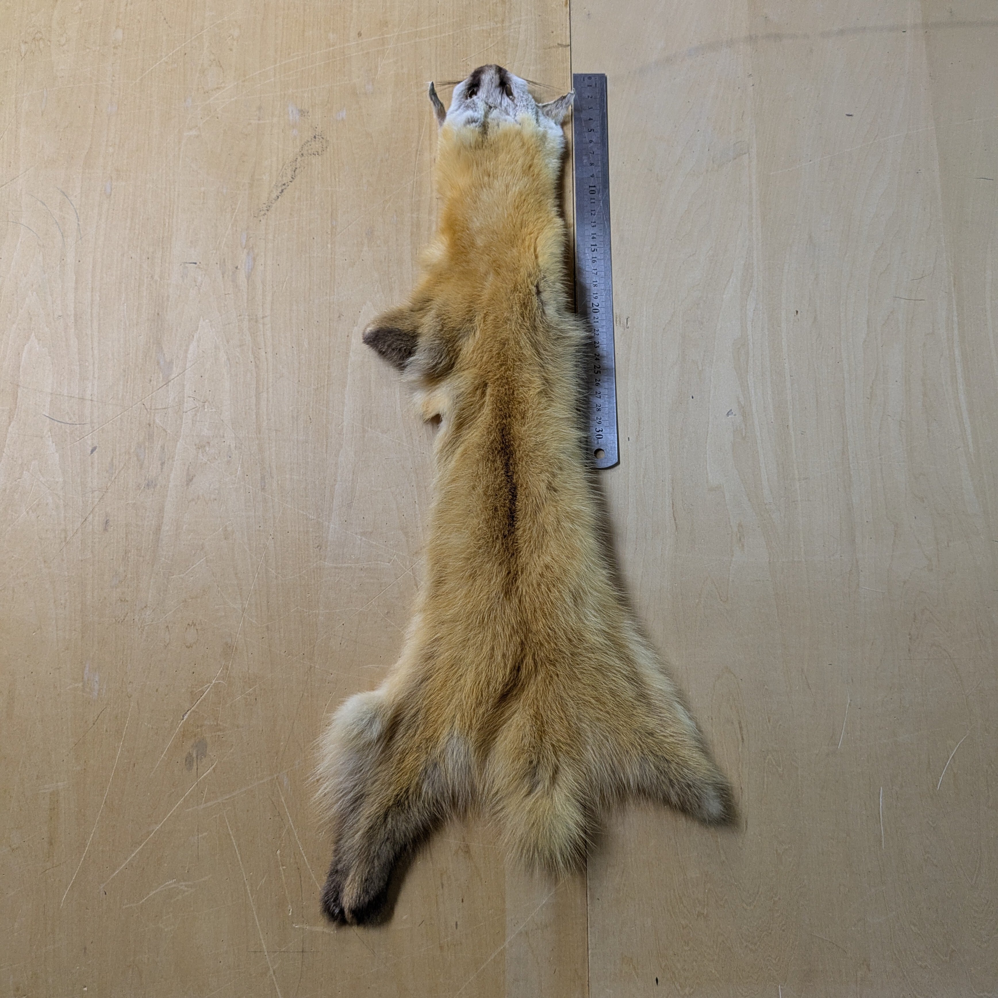 d9a0289691b4d7abb31c214994d8c4