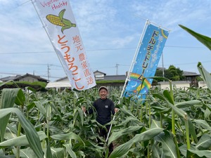 驚異の甘さドルチェドリーム