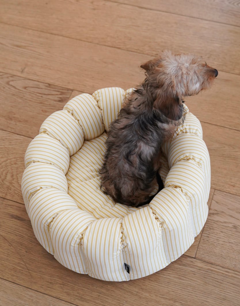 予約【azalea】New Stripe Canelé Cushion (Yellow)