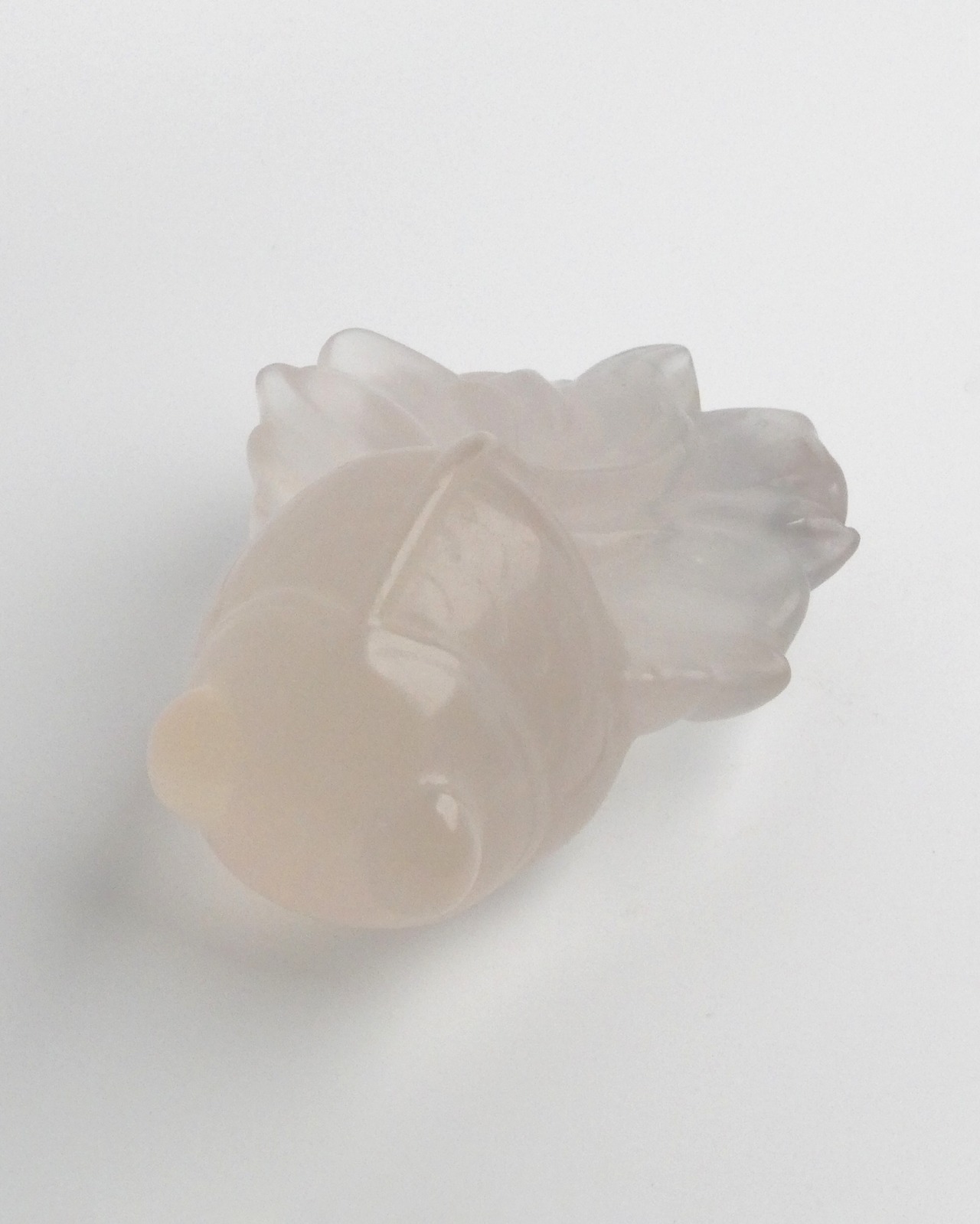 White Fluorite ホワイトフローライト ⭓ 金魚 ⭔ CARVING