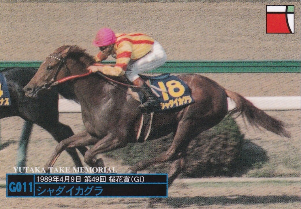 ランクB)エルコンドルパサー：第18回 ジャパンカップ「サラブレッド