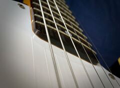 Fender Japan TES61 Custom Esquire 商品画像 18