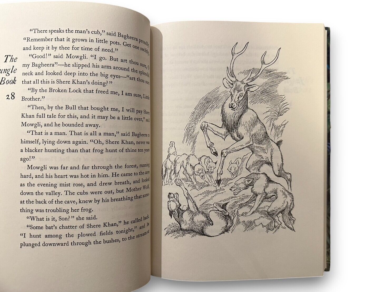 SC066】The Jungle Book (Illustrated Junior Library)(1995) /Rudyard