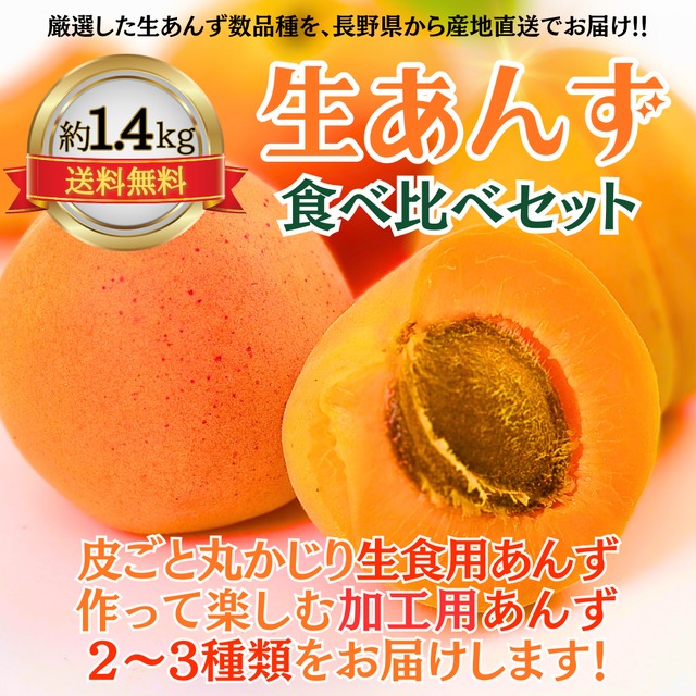 長野県産　ワッサー　　大玉品種