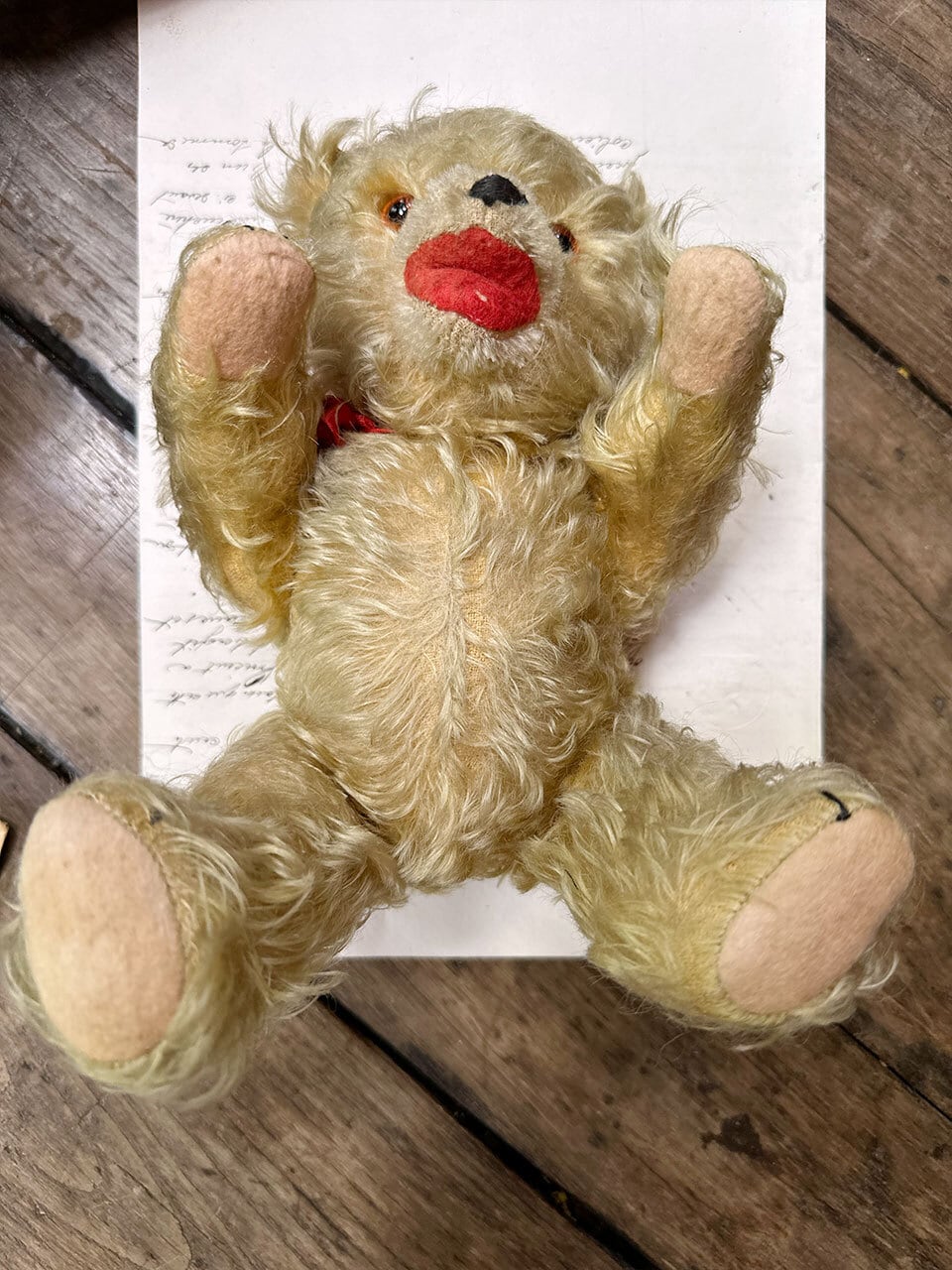 オープンマウスのベア 赤いリボン | Brocante de La Cocotte