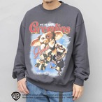 HBD-051 グレムリン GREMLINS スウェット トレーナー メンズ レディース ギズモ フォトプリント 裏パイル 春 秋冬 スウェット生地 クルーネック 映画 キャラクター アメカジ ストリート カジュアル 2色展開