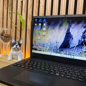 ☘️超美品☘️2022年夏モデル‼️NEC LAVIE N15☘️バッテリー新品同様☘️メモリ8GB☘️SSD256GB☘️ノートパソコン