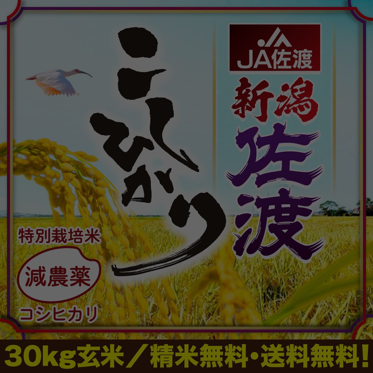 新潟県産コシヒカリ 笹神 特別栽培米 農薬50%減 玄米 送料込み 30kg