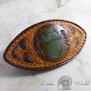 Barrette  Scarab beetle