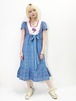 Vintage Pedicel Dress