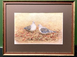 【野鳥生活】複製画「きじばと」