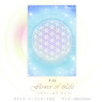 フラワー・オブ・ライフ 【神聖幾何学エネルギーカード】F-01
