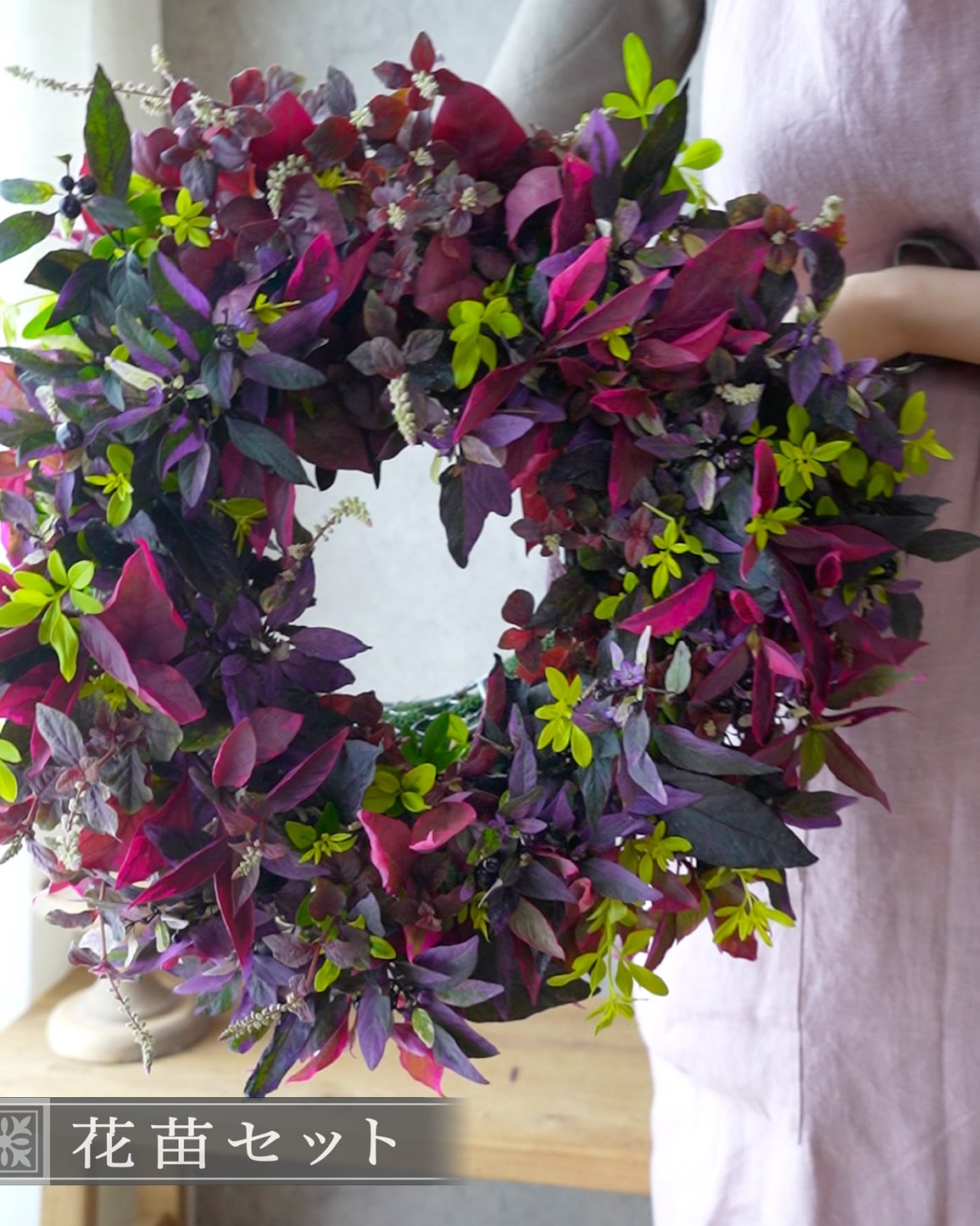 しめ縄リース　紫トルコキキョウ リース用・花苗セット】八重トルコキキョウとゴシキトウガラシの