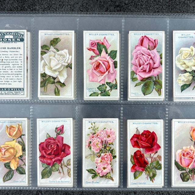 ✦-✦フルセット50枚 花 薔薇✦-✦ 英国 ヴィンテージ シガレットカード イギリス 英国  2604005-1