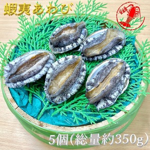 (活)蝦夷あわび5個(総量約350g)【あわび アワビ 鮑】