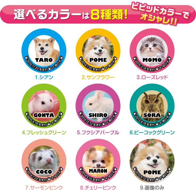 オーダーパネル購入チワワダックスポメプードルマルチーズ柴犬 【公式