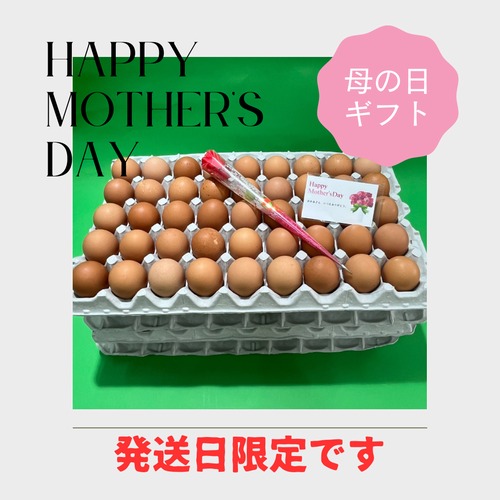 【Happy　Mother′s　Day】早割　母の日ギフト！！10％OFF【～4/30（火）までのご注文限定】　絶品たまごギフトセット  にんにく卵 業務用　160個