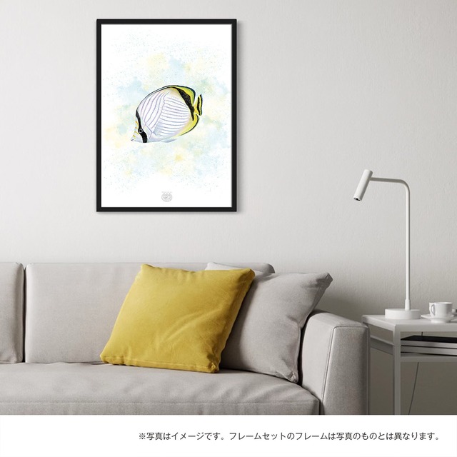 【海のいきものアートポスター／魚】フライチョウチョウウオ