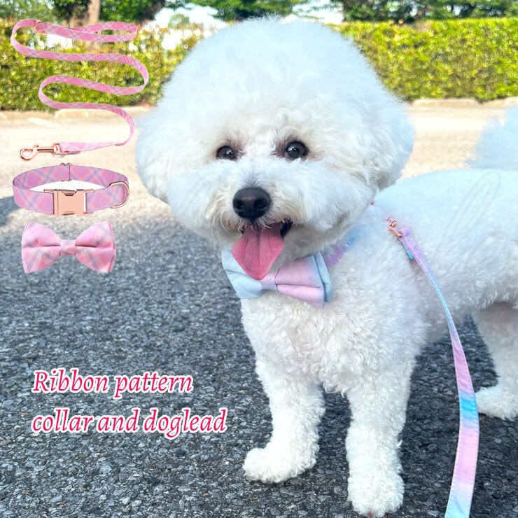 リボン首輪＆リードセット】首輪 リード 犬用 犬 リボン 可愛い