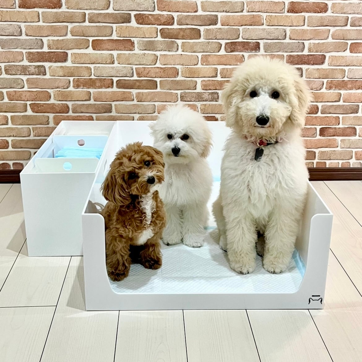 d9c30ca882bfb153fe68cc7f7674af