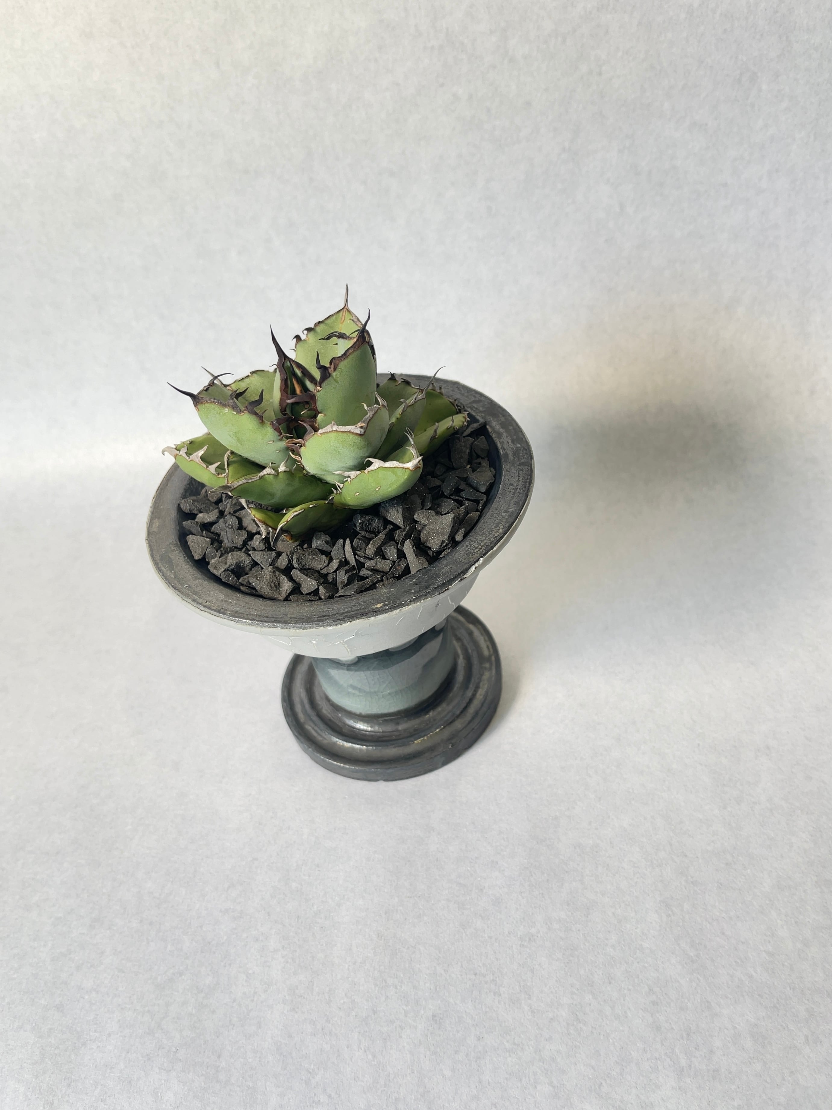 d9c5d341460bd503d64c48875640f9