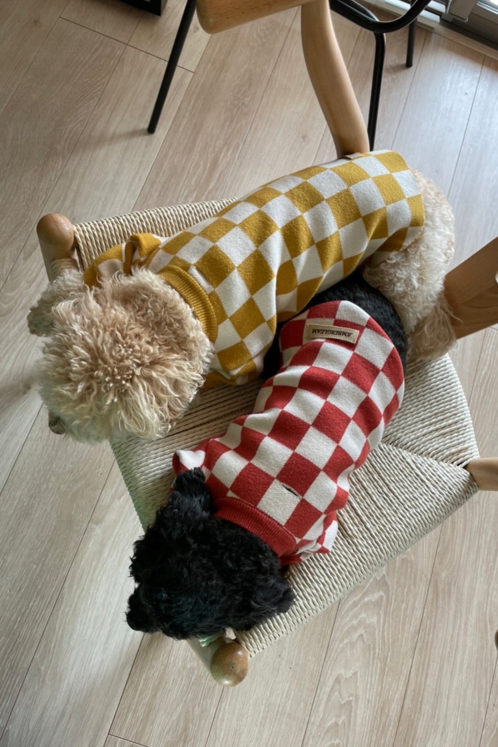 Dog Wear Jacquard knit | AMBERGLEAM