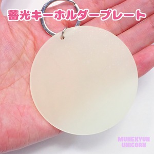 #D129-3【1個】 暗闇で光る！ルミナス キーホルダープレート