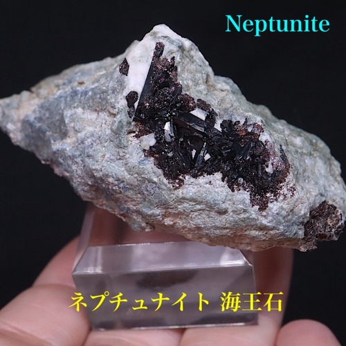 ネプチュナイト  海王石 母岩付き  41.4g BN274 鉱物　天然石　パワーストーン