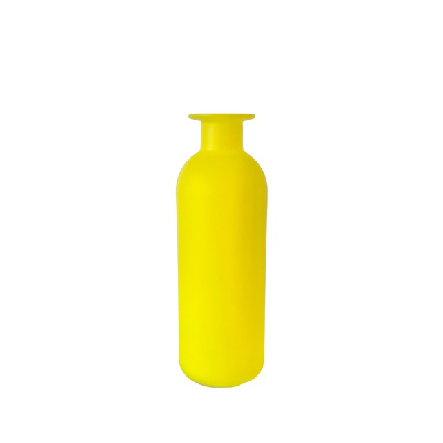 Neon Glass Bottle Vase(S) ネオンガラスボトル 花瓶 フラワーベース