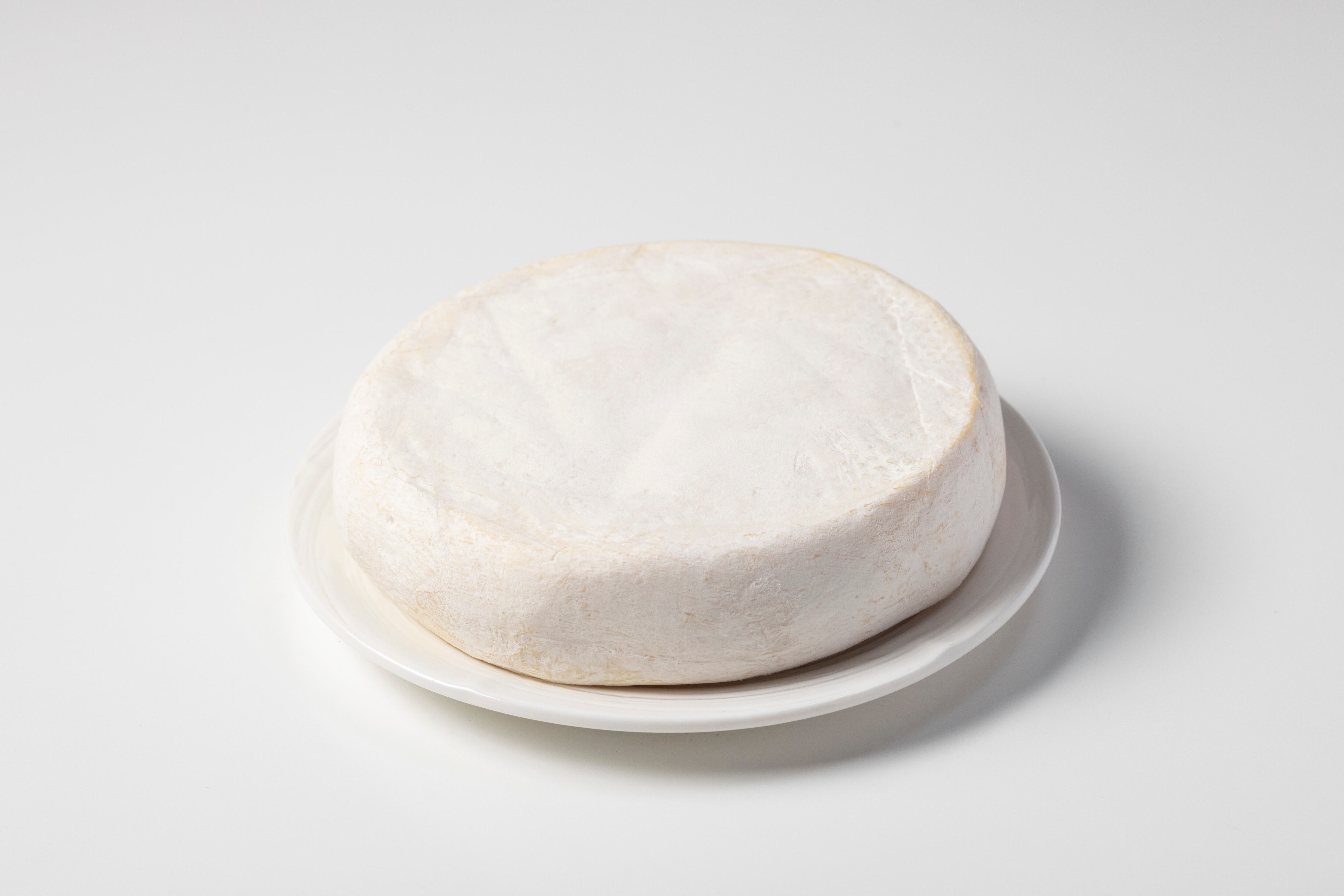 NEEDS 大地のほっぺ mini | チーズとコの字「チカセル」