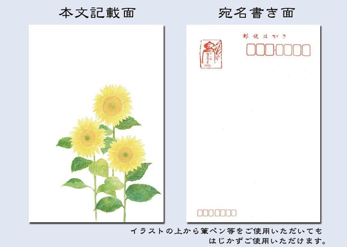 花きらら 暑中見舞い・残暑見舞いはがき 6枚入りセット 和紙 京都 福井