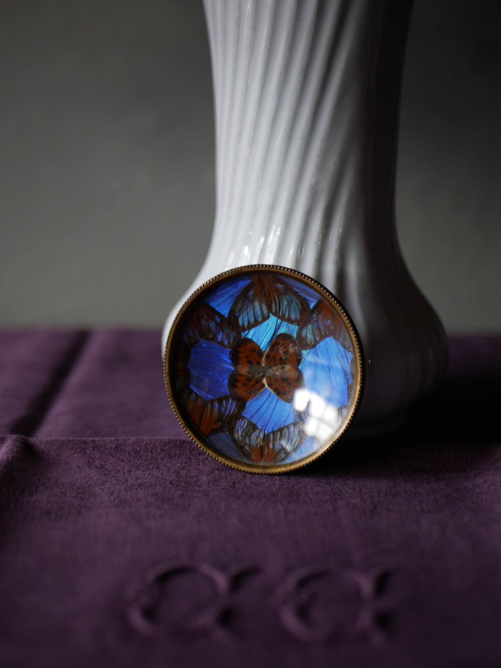 モルフォ蝶 スモールプレート ヴィンテージ ブロカント アンティーク雑貨