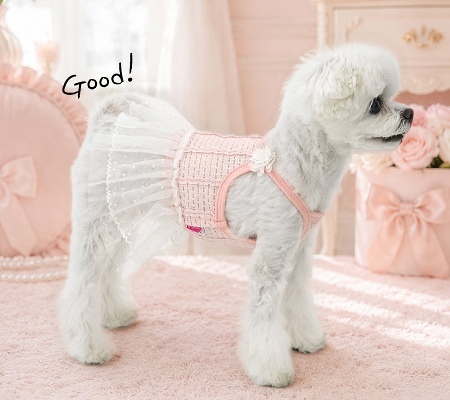 tutu mini dress S ~ XL / 犬服 ドッグウェア 袖なし 春夏 ワンピース チュチュスカート チュール 小型犬 中型犬 韓国 犬の服 onepiece67