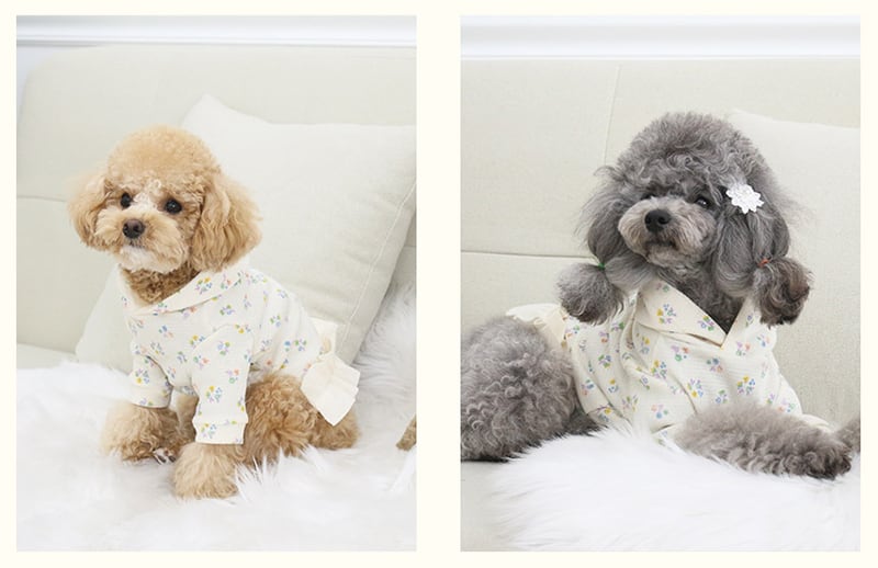 SALE】 lily hood onepiece S ~ XL / 犬服 春夏 新作 フード