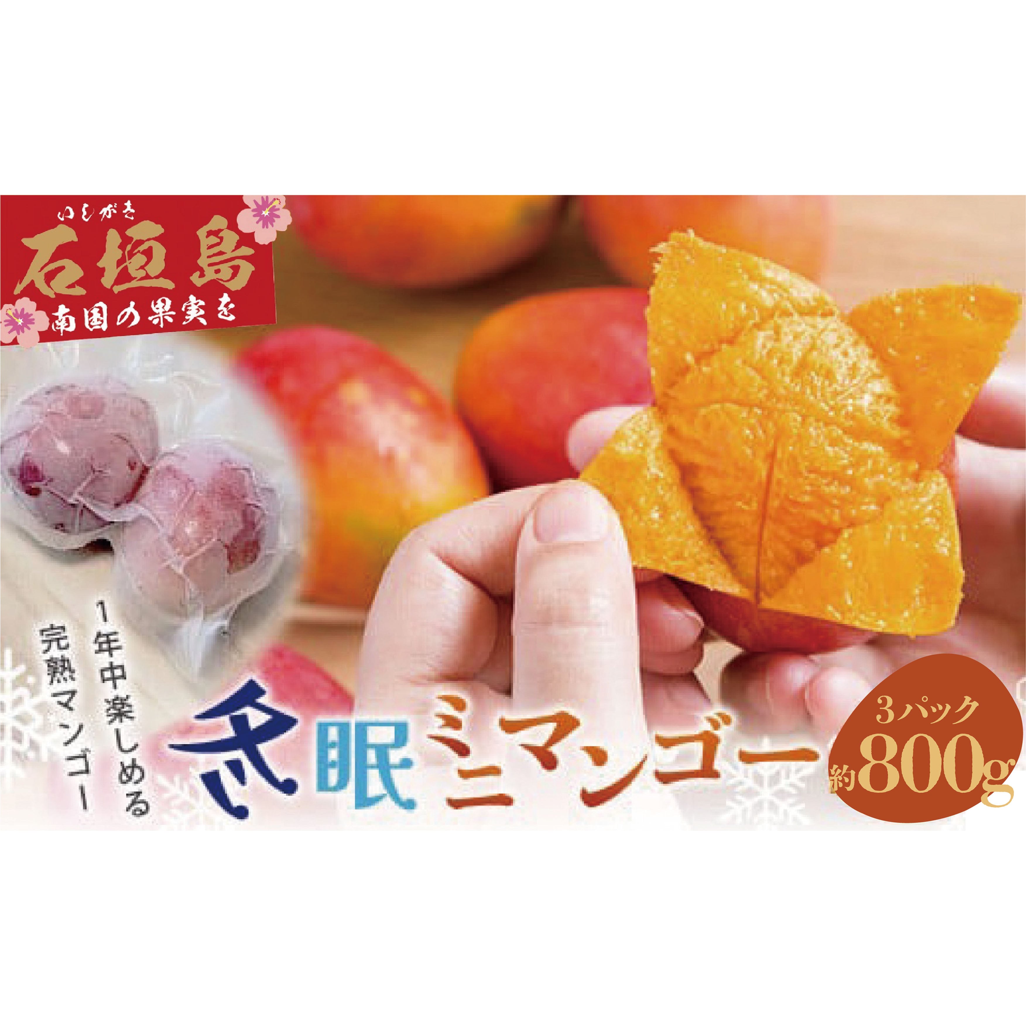 送料無料》《7月下旬以降発送》最高糖度20度！？ 完熟！石垣島産冬眠