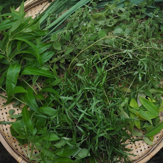 TEA from Our Farm   7Lemon herbs　