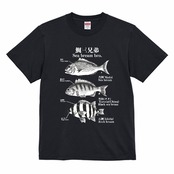 d9d5d2c10231ab1313faba36ebea87