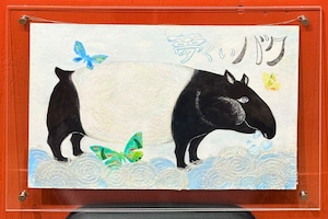 【IRODORI AZ】原画 E