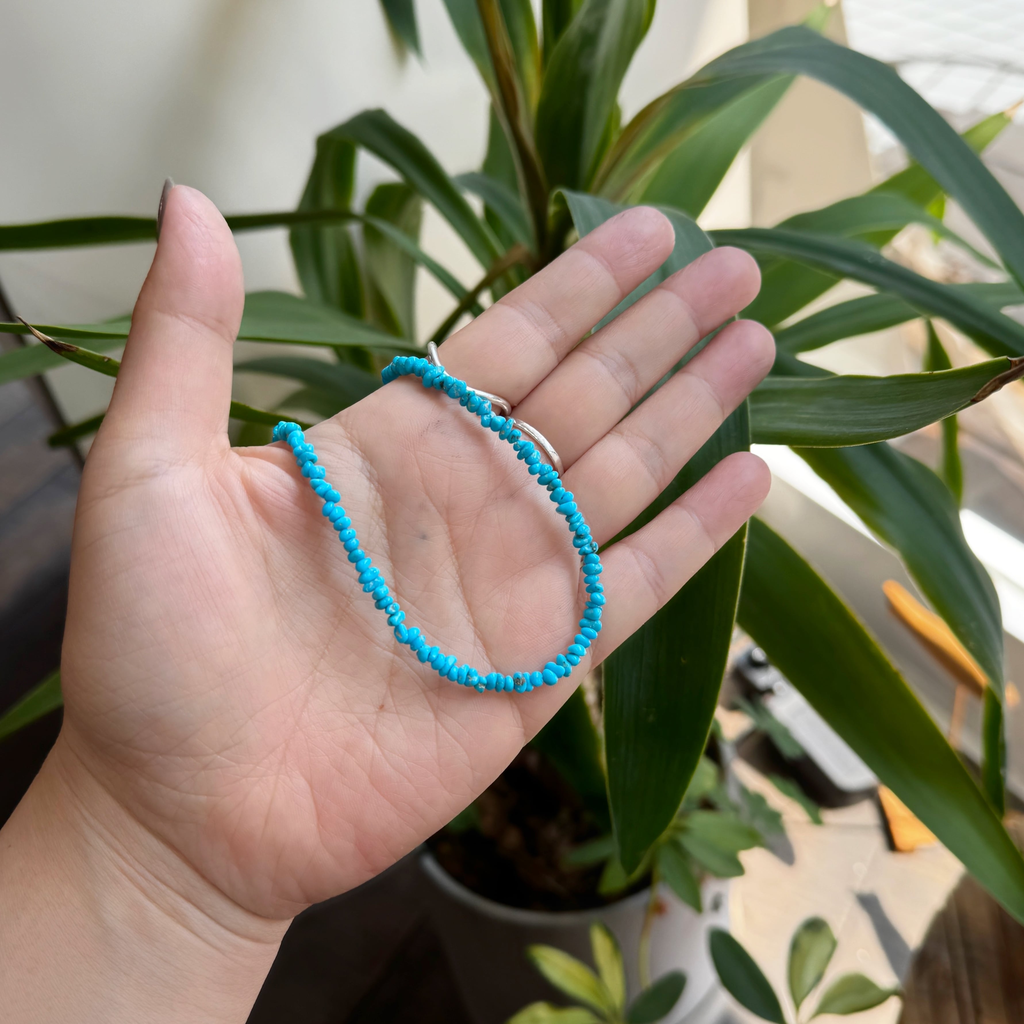 ラスト1！】 New!!! Lagoon Original アリゾナ産 スリーピング