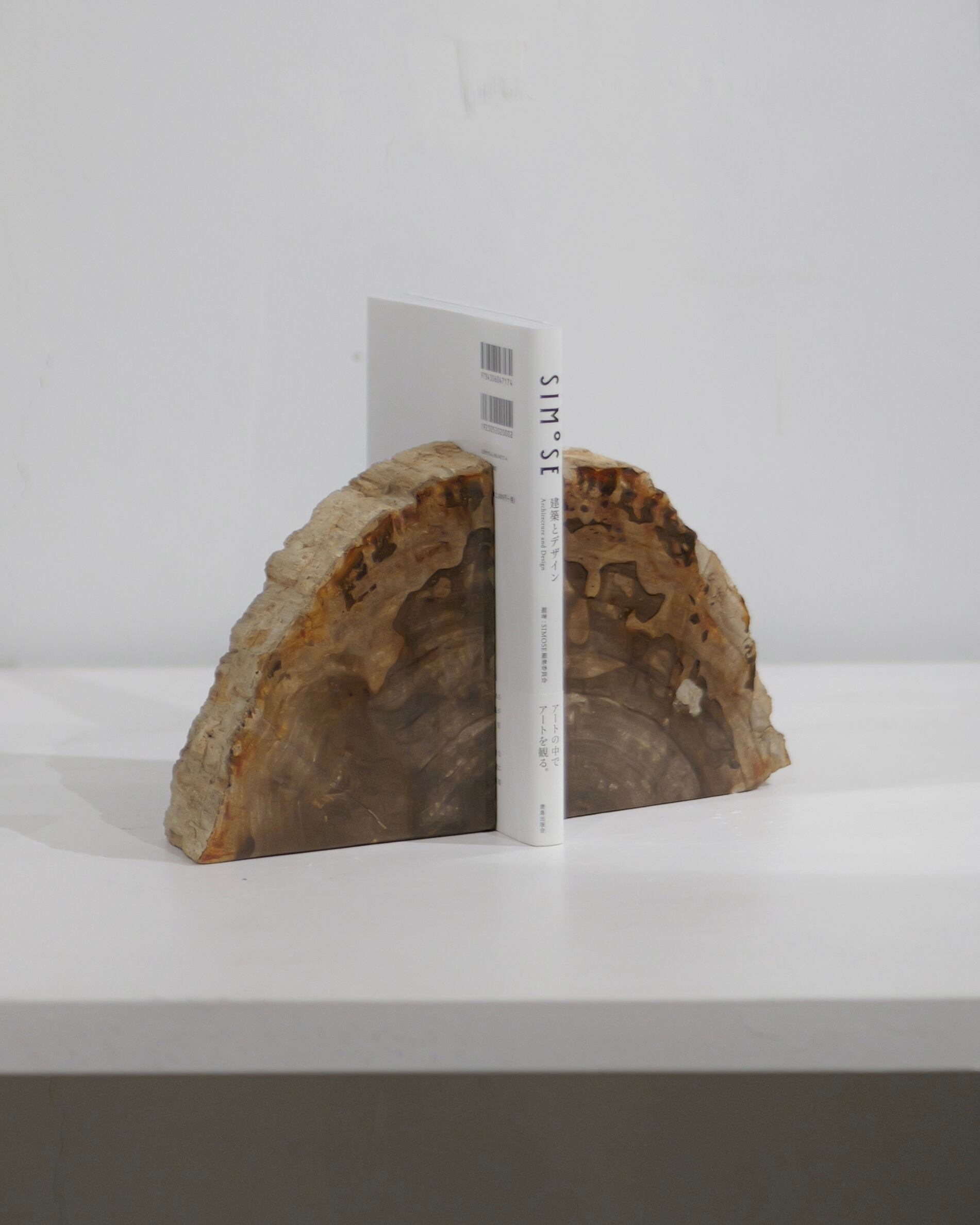 OAK Petrified Wood - Book End #001 ：Natural｜珪化木／一点もの