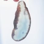 Pale Ocean - アゲートヒーリングチャイム / Agate Sun Catcher Wind Chime 244