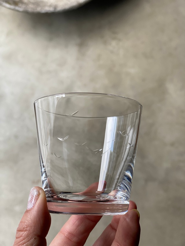 h collection WATER GLASS/KAMOME