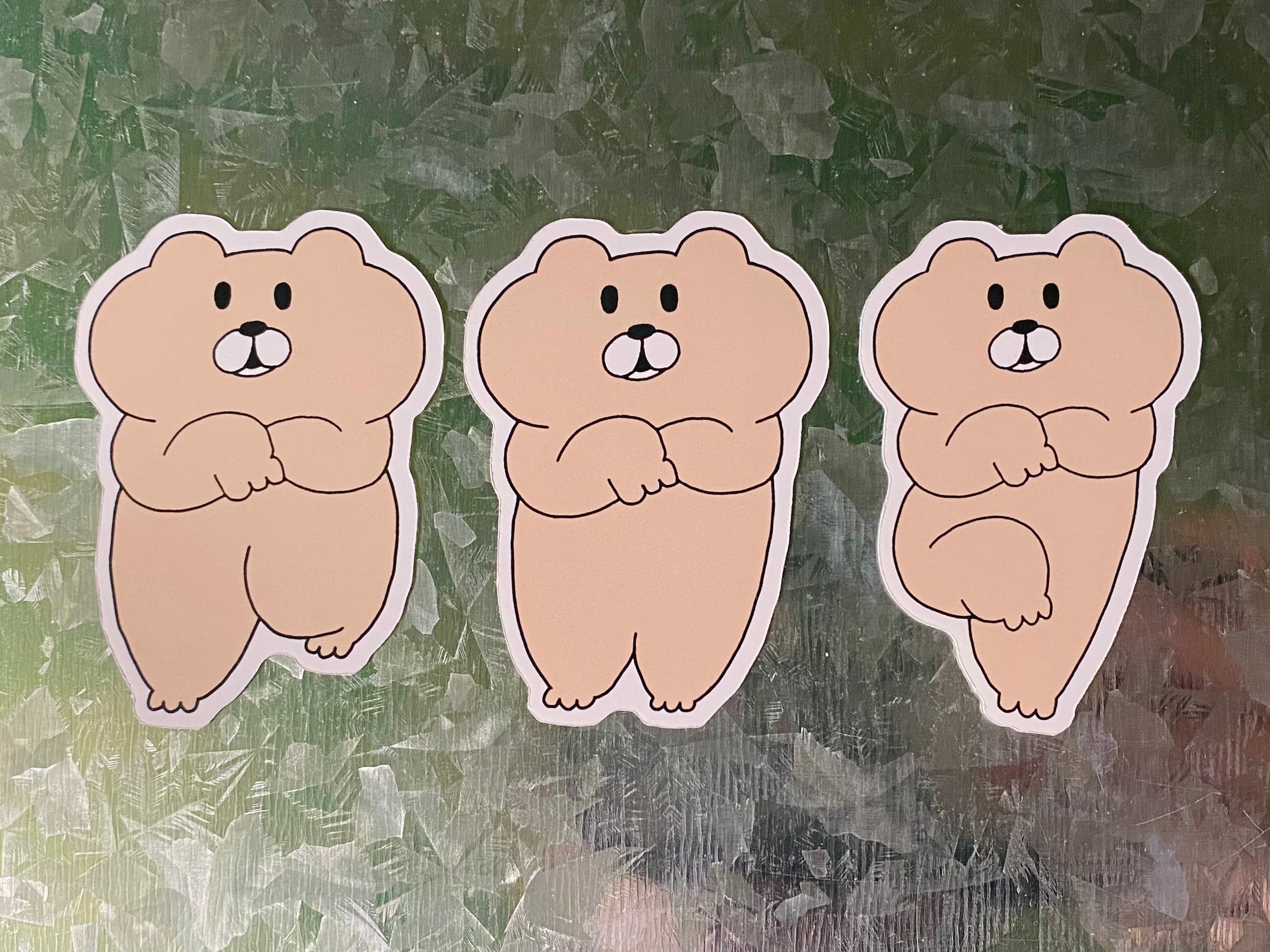 いらっしゃいましーるセット